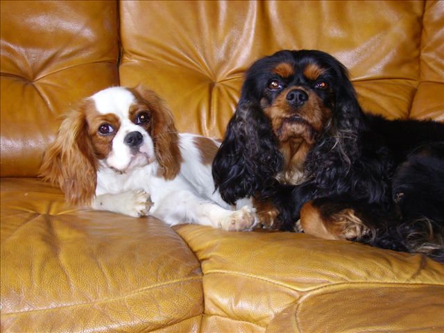 Sélia De blanc miroir