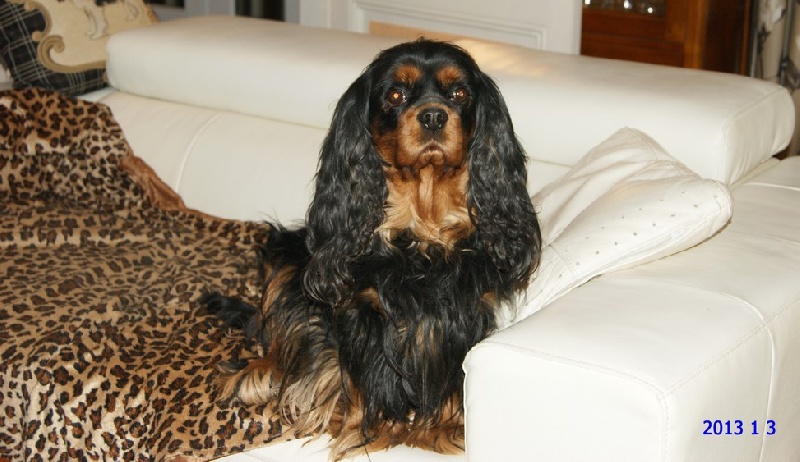 Champs elysées De blanc miroir