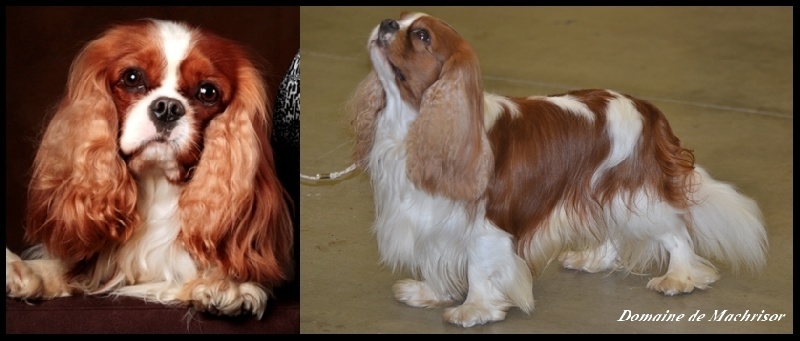 Fisichella De blanc miroir